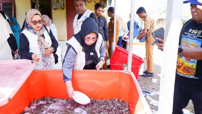 Panen Raya Udang Vaname