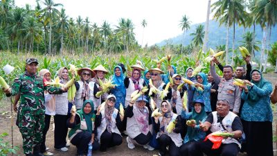Panen Raya Jagung di kebun percontohan milik Tim Penggerak PKK Kelurahan Payahe, Kecamatan Oba, Kota Tidore Kepulauan.