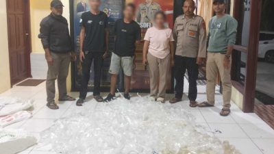 Barang bukti sebanyak 445 kantong minuman keras tradisional jenis cap tikus yang berhasil diamankan saat patroli cipta kondisi di wilayah Kabupaten Halmahera Selatan (Istimewa)