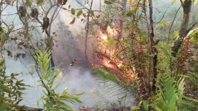Salah satu lahan yang terbakar