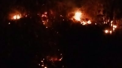 Kebakaran lahan yang dipicu aktifitas pembakaran sampah (foto_damkar)