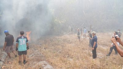 Wali Kota Ternate Tinjau Karhutla di Takome dan Sulamadaha